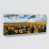 Flower Sunflowers Field 14 Wall Art