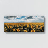 Flower Sunflowers Field 14 Wall Art