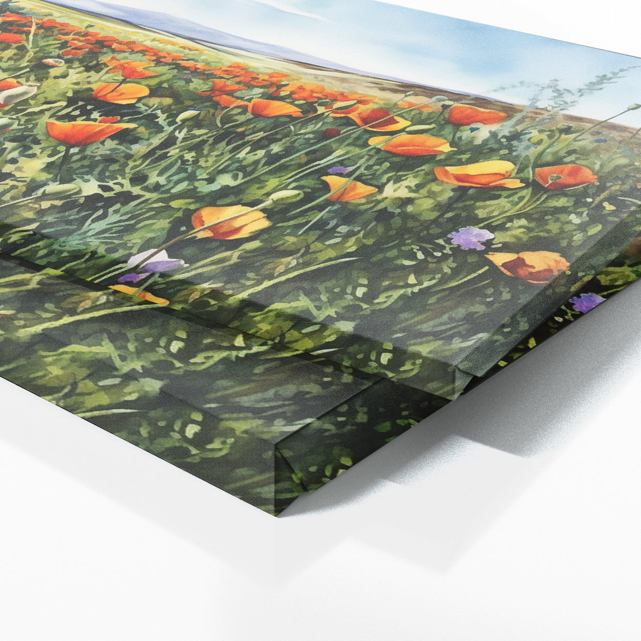 Flower Watercolor Poppies 28 Wall Art