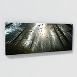Forest Birds Soaring Photograph 35 Wall Art
