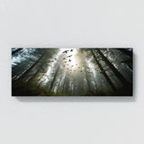 Forest Birds Soaring Photograph 35 Wall Art