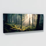 Forest Morning Light 50 Wall Art