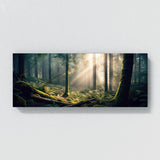 Forest Morning Light 50 Wall Art