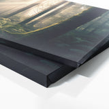 Forest Morning Light 50 Wall Art