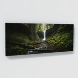 Forest Photograph Rushing 51 Wall Art