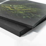 Forest Photograph Rushing 51 Wall Art
