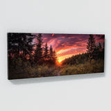 Forest Vibrant Photograph Sky 19 Wall Art