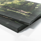 Lake Light Shadow 55 Wall Art