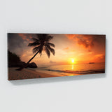 Nature Palm Photograph 24 Wall Art