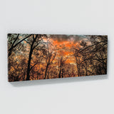 Sunset Beautiful Leaves 186 Wall Art