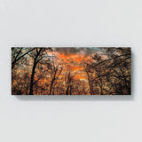 Sunset Beautiful Leaves 186 Wall Art
