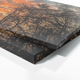 Sunset Beautiful Leaves 186 Wall Art