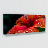 Tropical Dewdrops 106 Wall Art