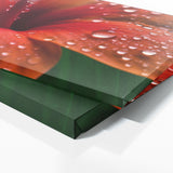 Tropical Dewdrops 106 Wall Art