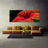 Tropical Dewdrops 106 Wall Art