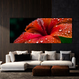 Tropical Dewdrops 106 Wall Art