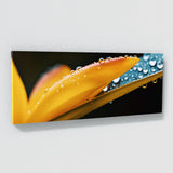 Tropical Dewdrops 107 Wall Art