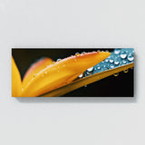 Tropical Dewdrops 107 Wall Art