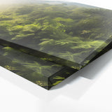 Tropical Landscape River Canopy 125 Wall Art