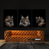 Animal Cat Wall Art
