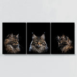 Animal Cat Wall Art