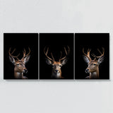 Animal Deer Wall Art