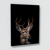 Animal Deer Wall Art