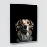 Animal Dog Wall Art