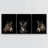 Animal Donkey Wall Art