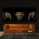 Animal Elephant Wall Art