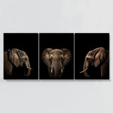 Animal Elephant Wall Art