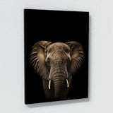 Animal Elephant Wall Art