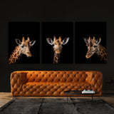 Animal Giraffe Wall Art