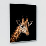 Animal Giraffe Wall Art