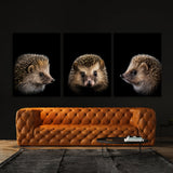 Animal Hedgehog Wall Art