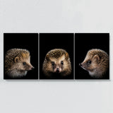 Animal Hedgehog Wall Art