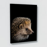 Animal Hedgehog Wall Art