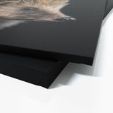 Animal Hedgehog Wall Art