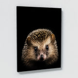 Animal Hedgehog Wall Art