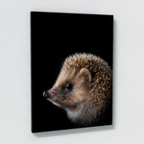 Animal Hedgehog Wall Art