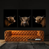 Animal Highland Cow Wall Art