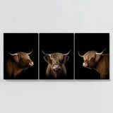 Animal Highland Cow Wall Art