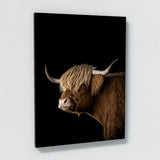 Animal Highland Cow Wall Art