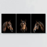Animal Horse Wall Art