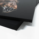 Animal Horse Wall Art