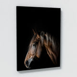 Animal Horse Wall Art