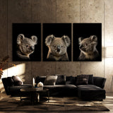 Animal Koala Wall Art