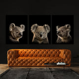 Animal Koala Wall Art