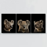 Animal Koala Wall Art