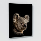 Animal Koala Wall Art